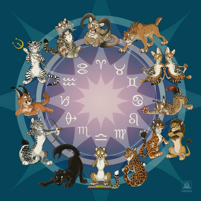 Signs of the Zodicat (Jumbo Print)