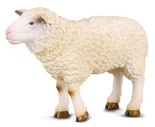 Collecta 88008 moutons blanc 