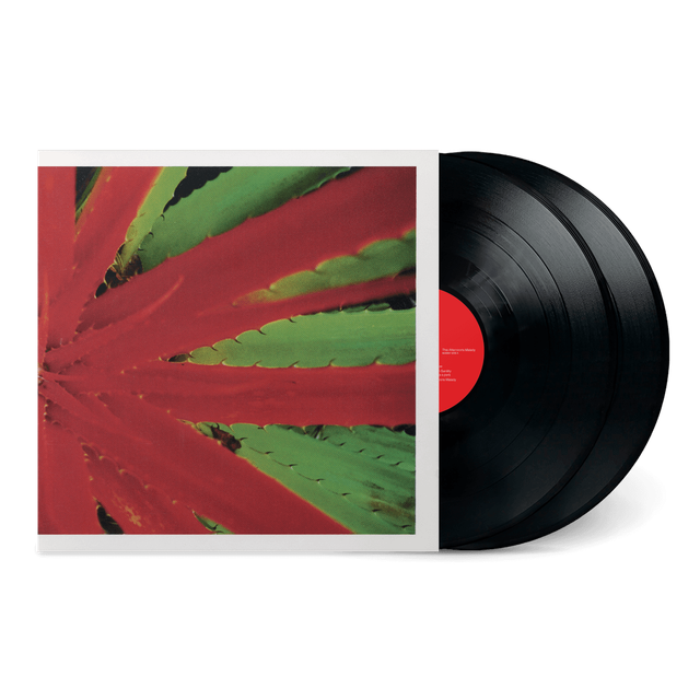 Jejune - This Afternoons Malady 2xLP (Due Out 23/01/2026)