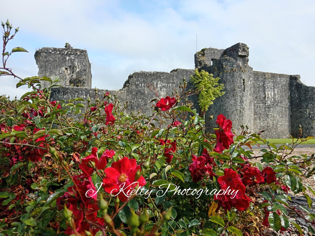 Ballymote Castle, County Sligo. 