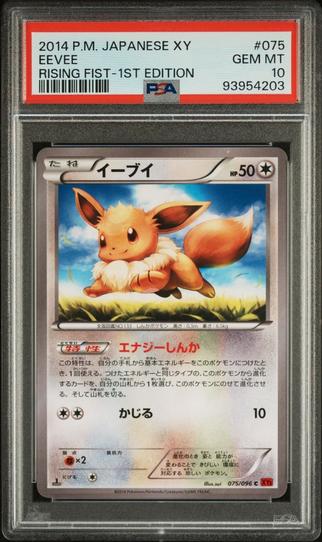 POP 50 PSA 10 2014 Pokémon Japanese XY Rising Fist 075 Eevee 1st Edition