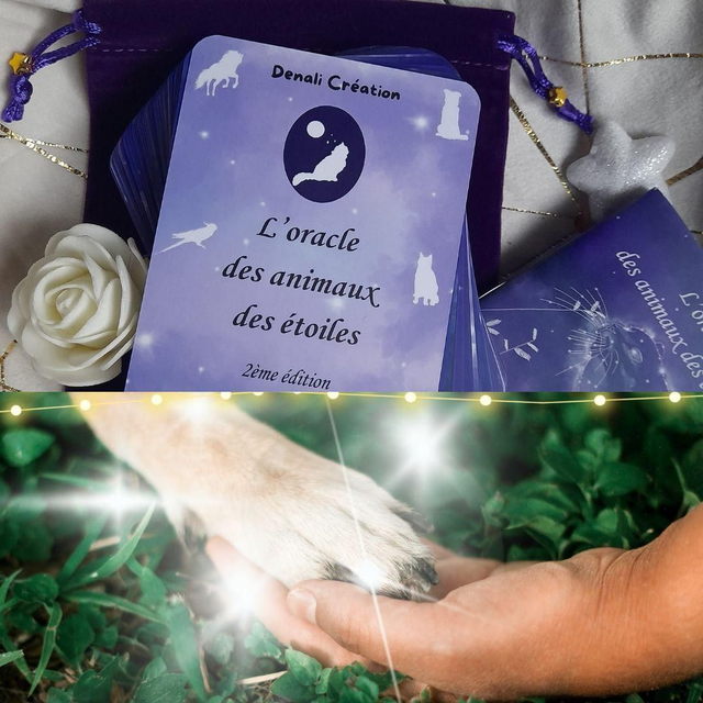 Oracle + séance Communication animale