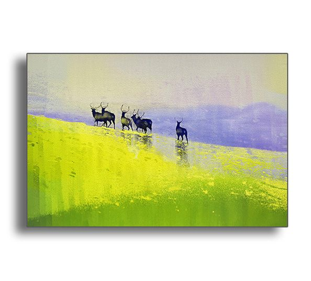  02 Nature - One For All, 2020.