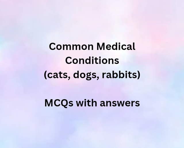 Common Medical Conditions in Cats, Dogs, and Rabbits