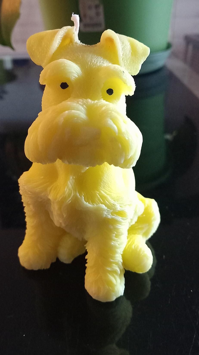 BeaCrea au plaisir d'offrir, les bougies fondantes, vous propose cette magnifique bougie parfumé  chien  parfums
Prix : 8€