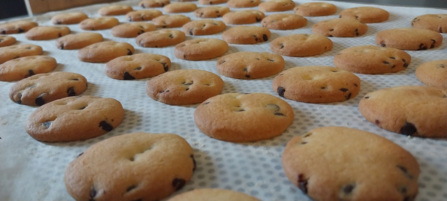 Galette Pépite Chocolat x12