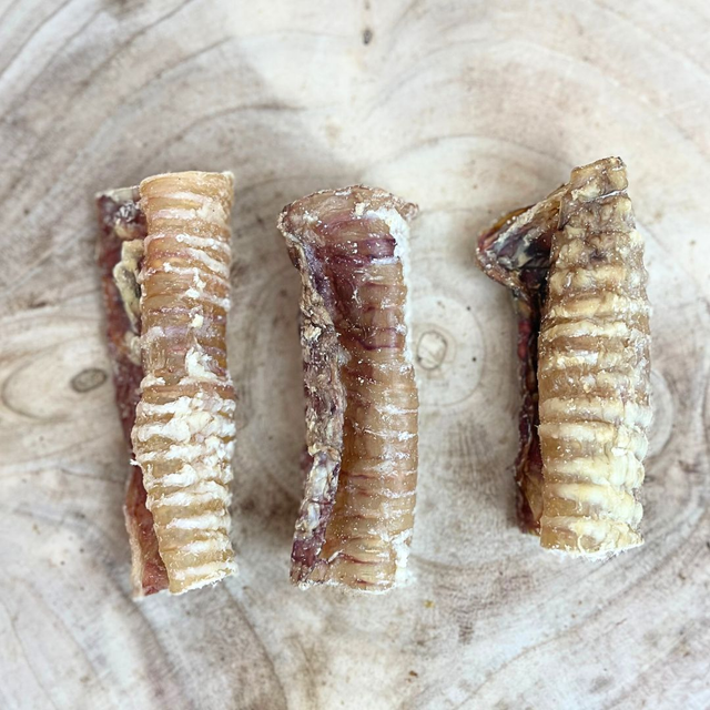 Beef Trachea - 12cm