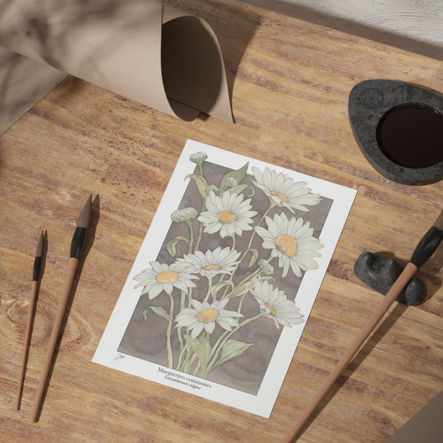 Carte postale - Vin Nature - Marguerites