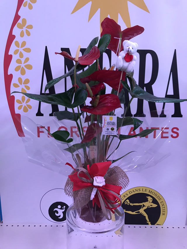 ANTHURIUM ROJO 5 FLORES CERAMICA M-14 50cm