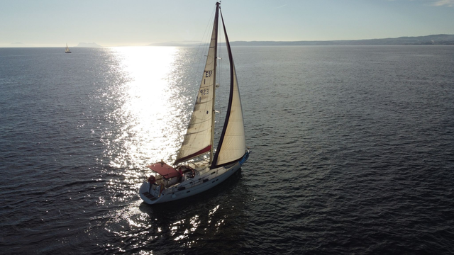 Boat Charter (Dolphin Trip)- Excursión Velero 