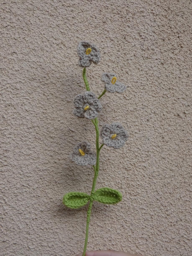 Tige de myosotis beige foncée