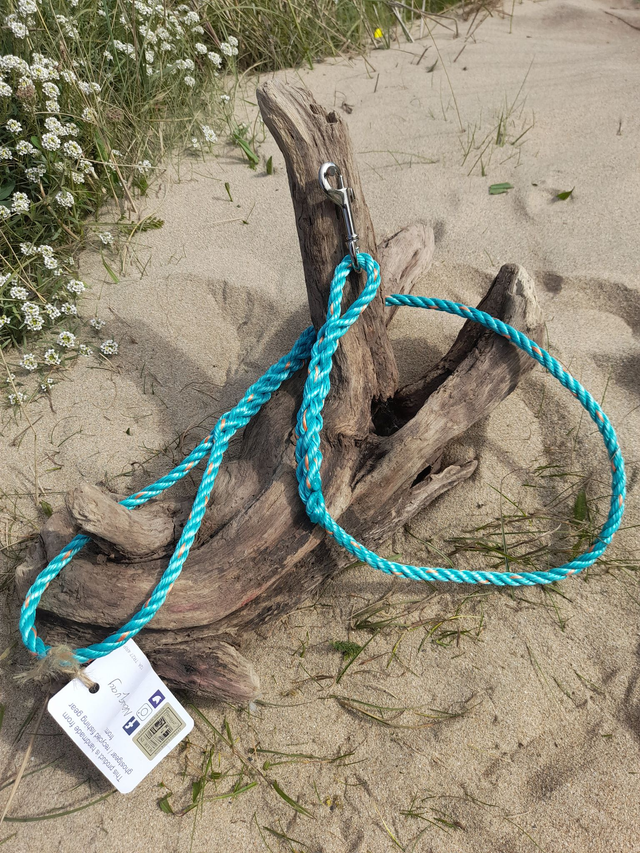 Dog Lead - Newquay