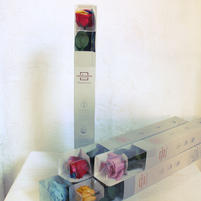  ROSA ETERNA CL341G 55cm