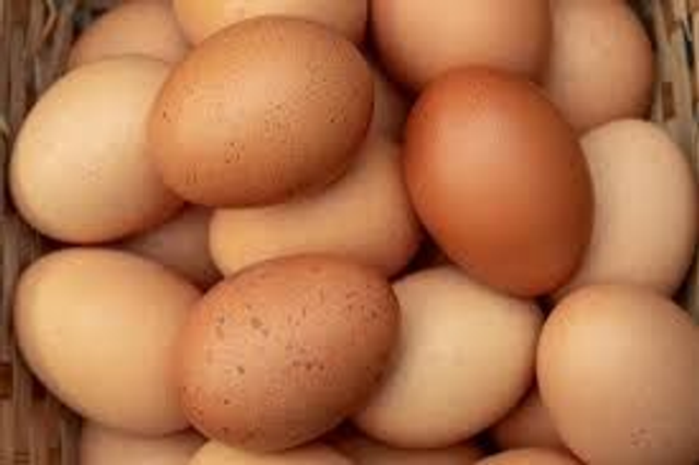 EGGS L (Dozen)