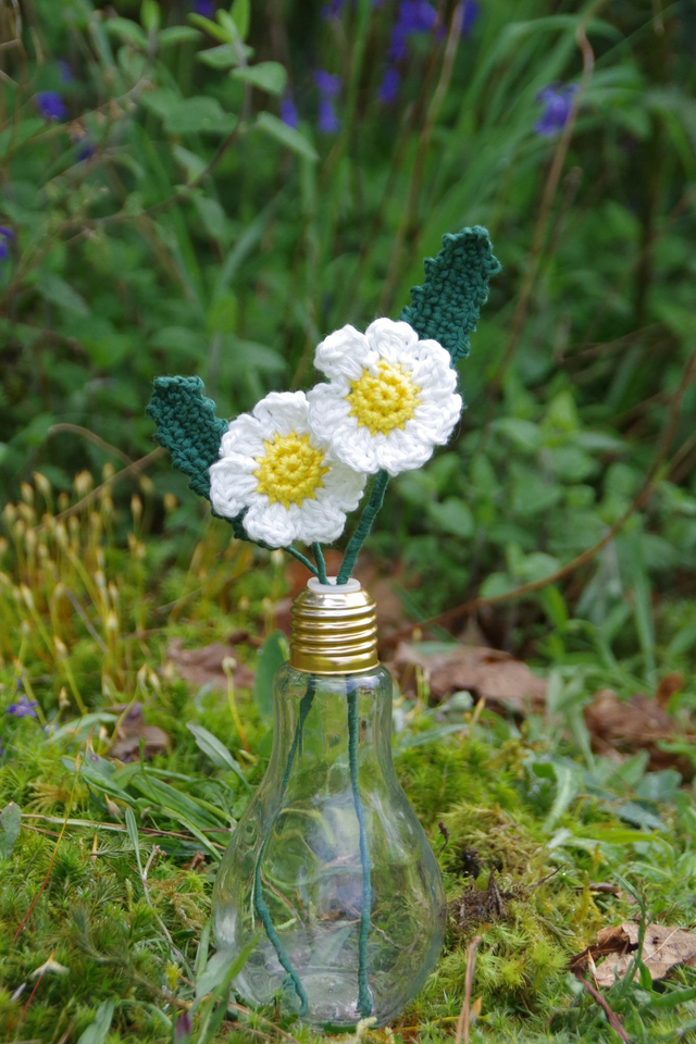 Marguerite dans son vase ampoule
