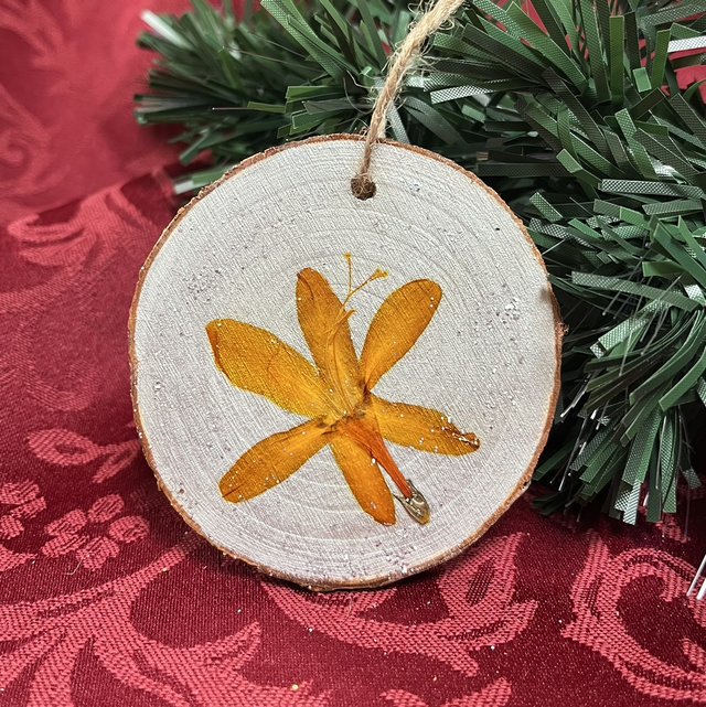 Christmas  Wood Slice Crocosmia