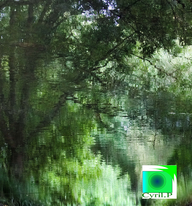 Dimensions extérieures : 72 x 76,9 cm 1 cm bord blanc