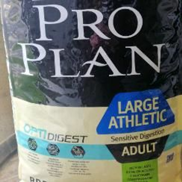 adult large 18kg athletic agneau