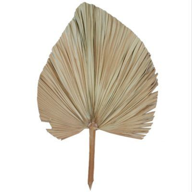 FOLHA PLISSADA - LOCAÇÃO