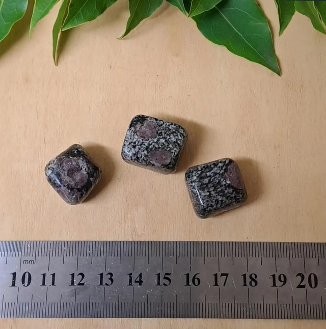 GARNET IN HORNBLEND TUMBLESTONE