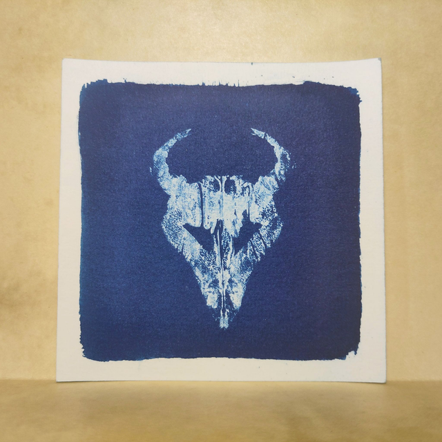 Cyanotype Empreinte "Hic Sunt Dracones"