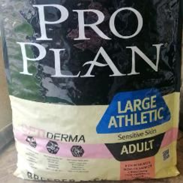 adult large 18kg athletic saumon