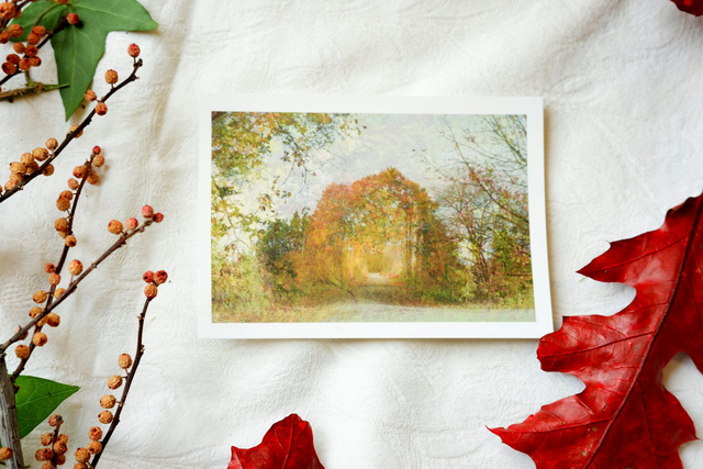 Carte postale S Photographie "L'entrée de la forêt"