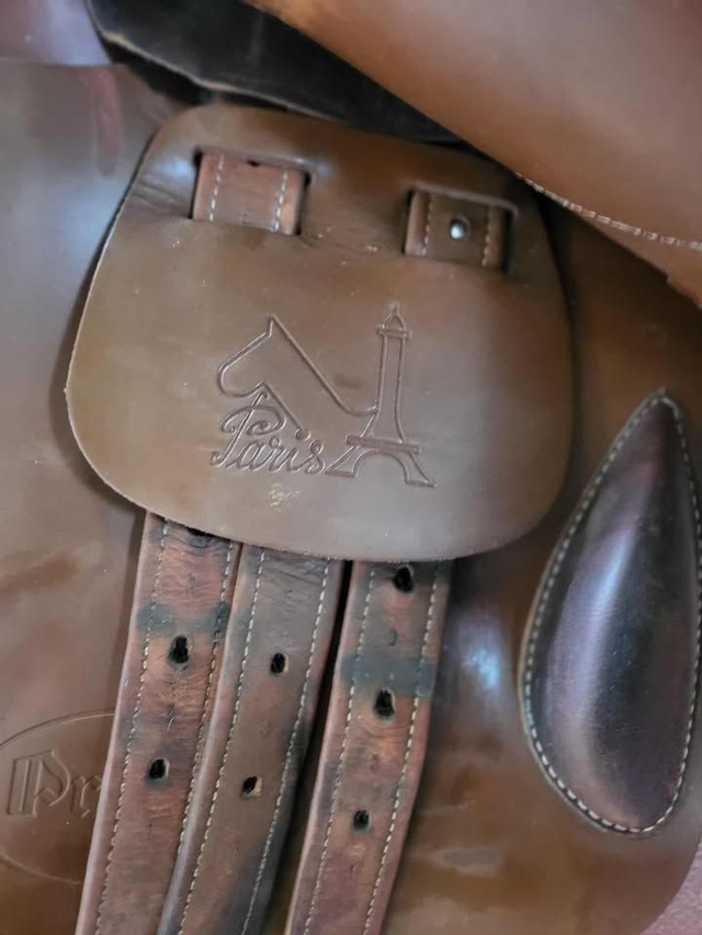 Selle mixte / CSO Prestige Paris – 17’’ – Havane – Occasion