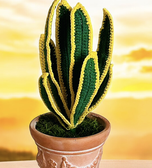 Mother-Laws-Tongue Houseplant. Handcrafted Crochet plant.