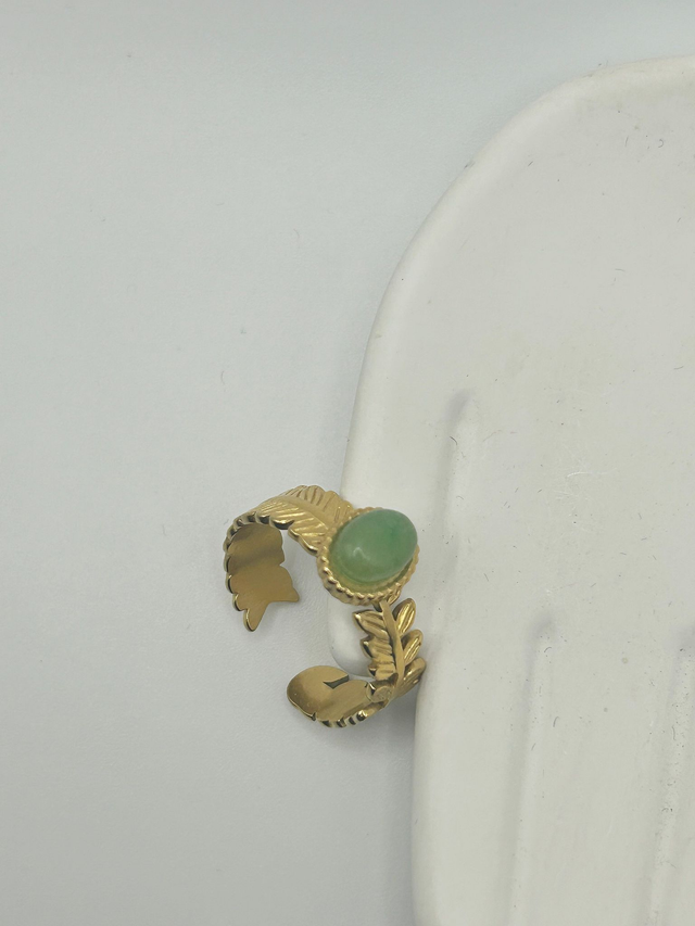 Stainless Steel Ring (SSR69J)