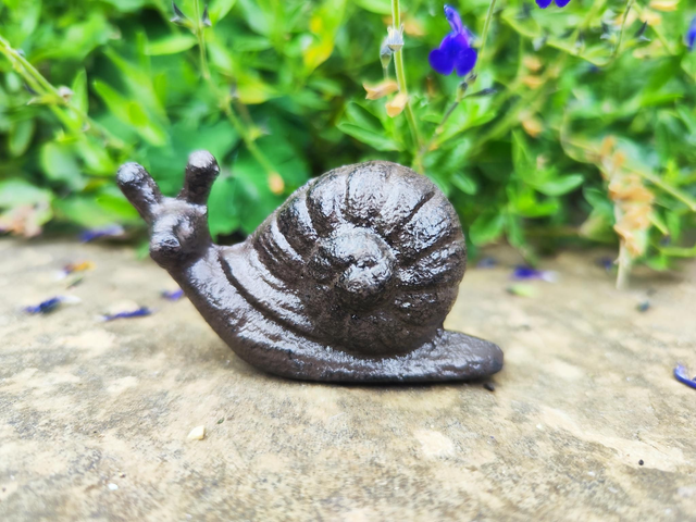 Cast Iron Snail