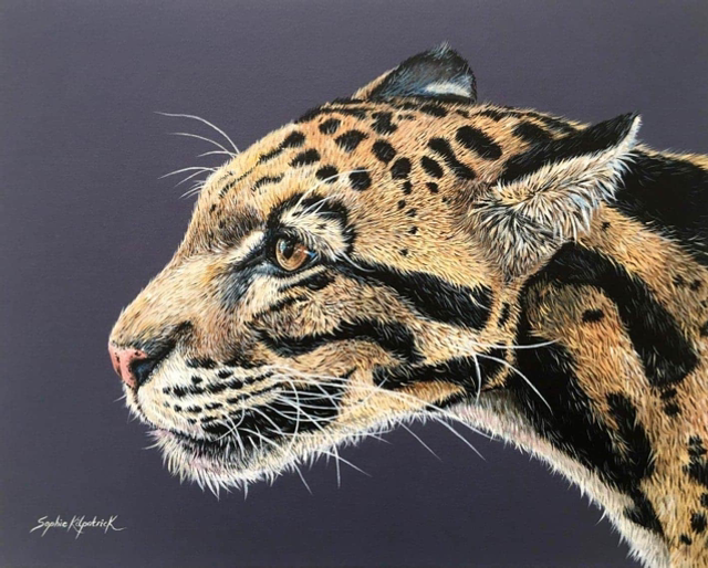 ‘Clouded Leopard’ Original Painting