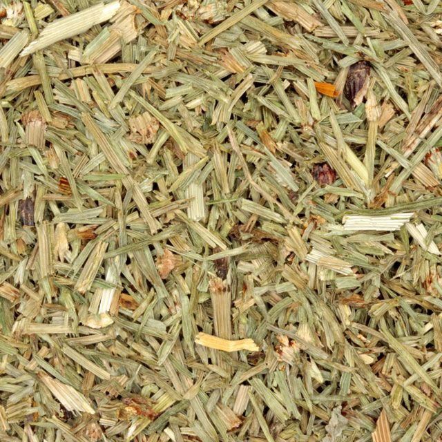 Heermoes (horsetail) (Equisetum arvense) - BIO