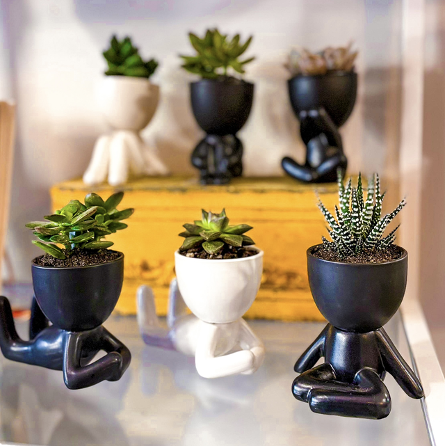 KODAMA (omini con pianta grassa)