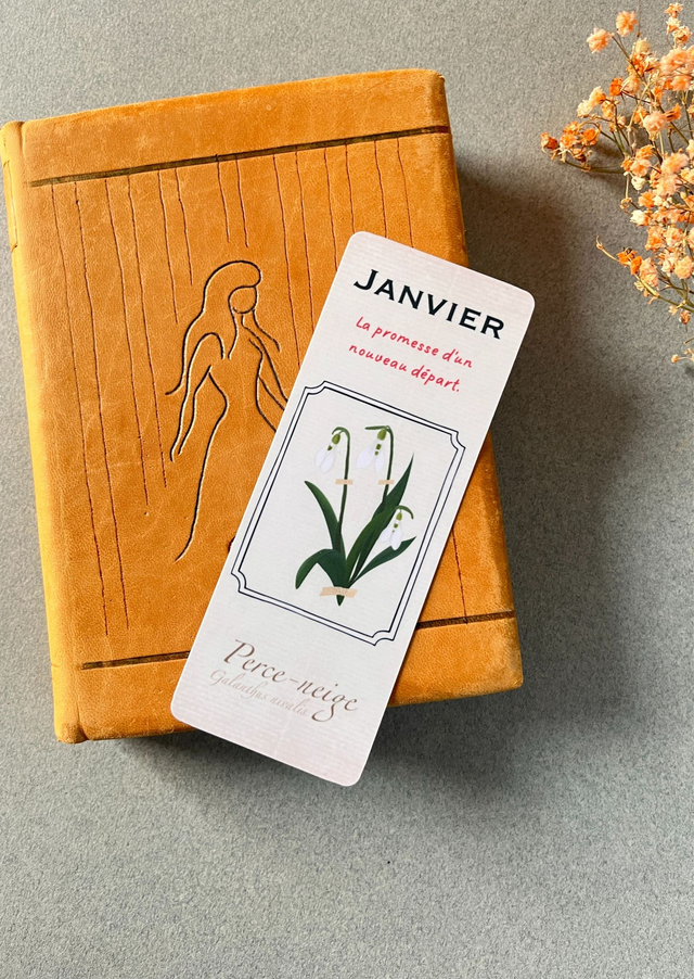Marque-pages 01. Janvier, Le Perce-neige