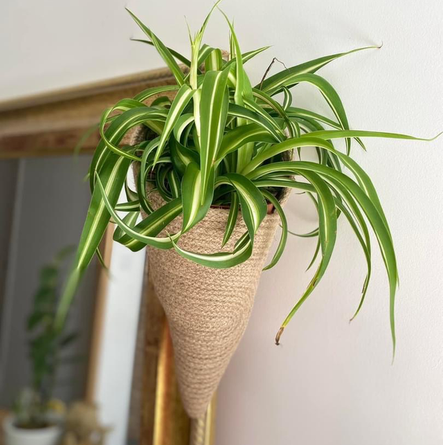 Cornet suspendu en jute tressée 