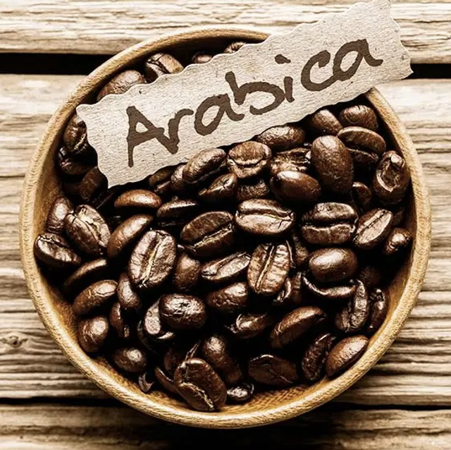 Brasilianische Kaffeebohnen Bio