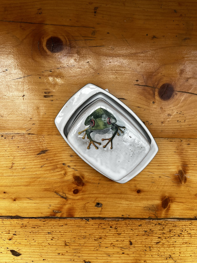 Butterdose Frosch grün (MSM)