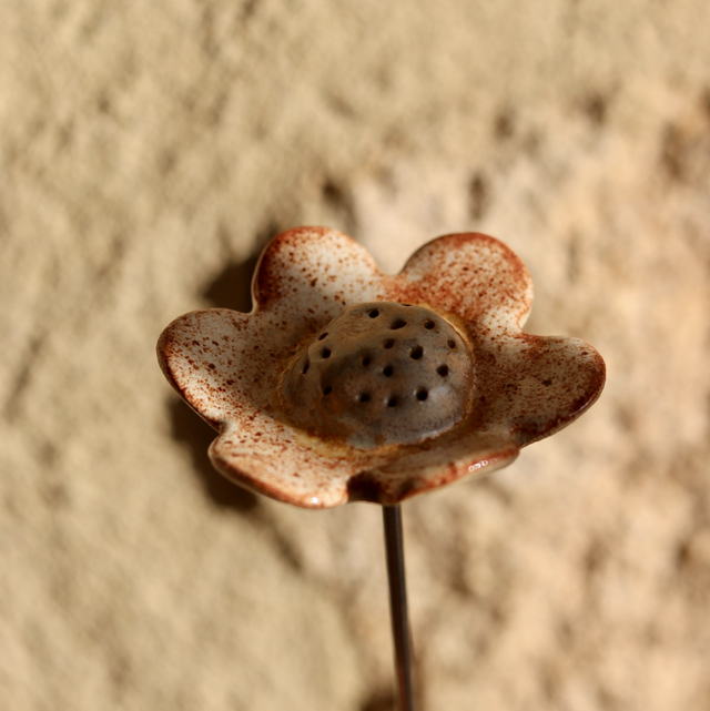 Petite fleur orangée