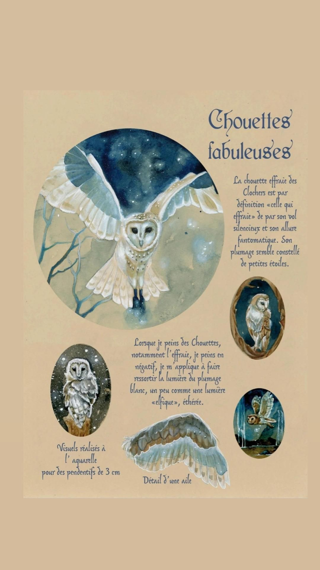 Chouettes fabuleuses fiche à thème féerique