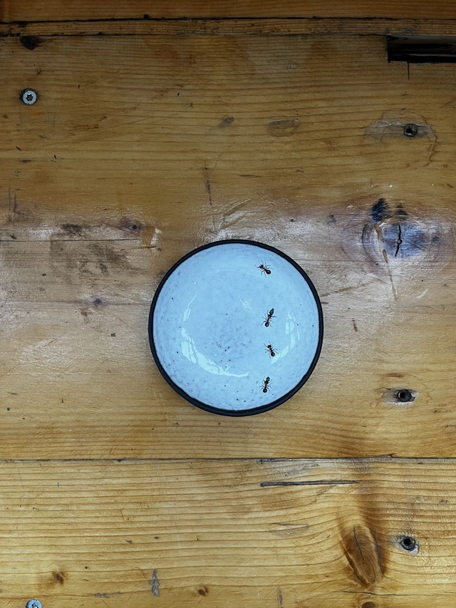 Dip Teller Ameisen (MSM)