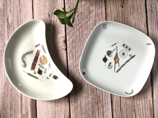 Phytoplankton upcycled plates