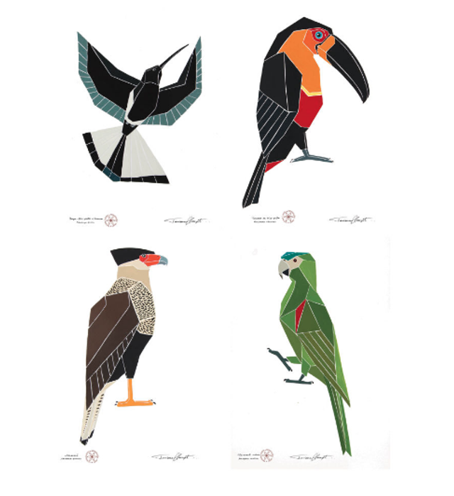 Conjunto de reproduções "AVES BRASILEIRAS - SÉRIE 2"