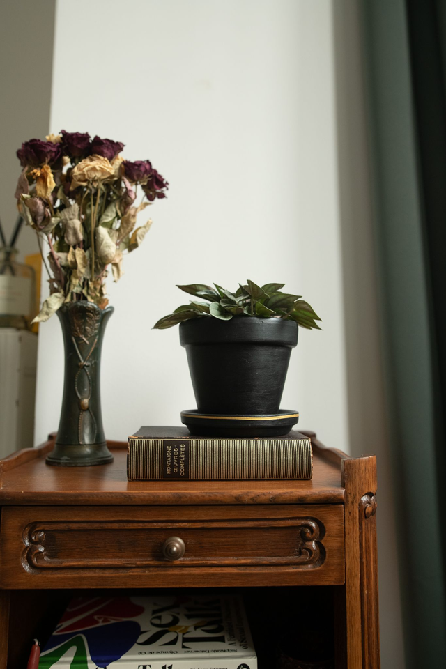 Black Velvet 🖤 Pot + Soucoupe peints à la main