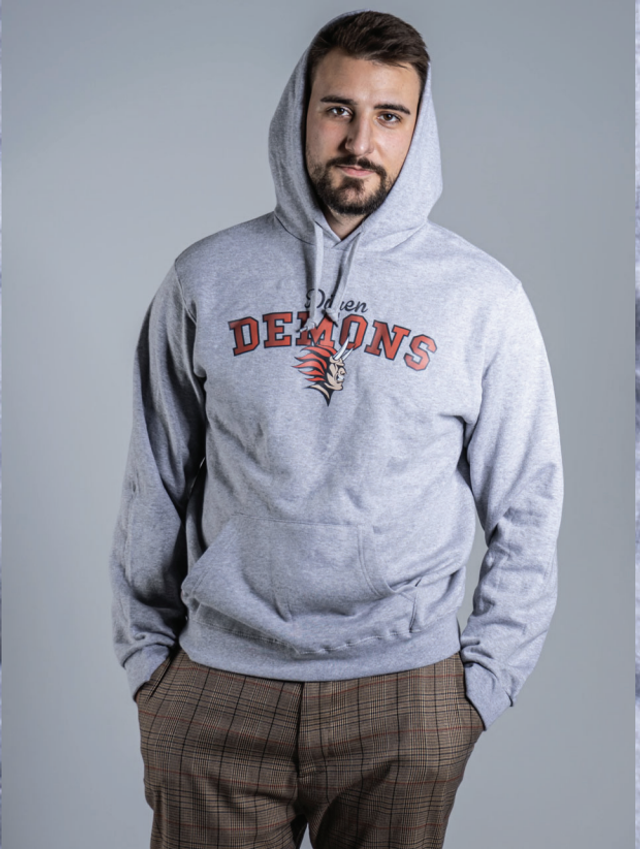 Demons Pullover grau (Druck) 