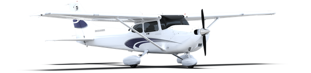 Cessna 172  - Ihr persönlicher Flug 