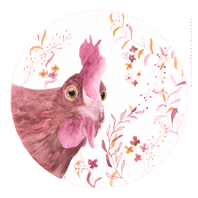 Carte postale Poule