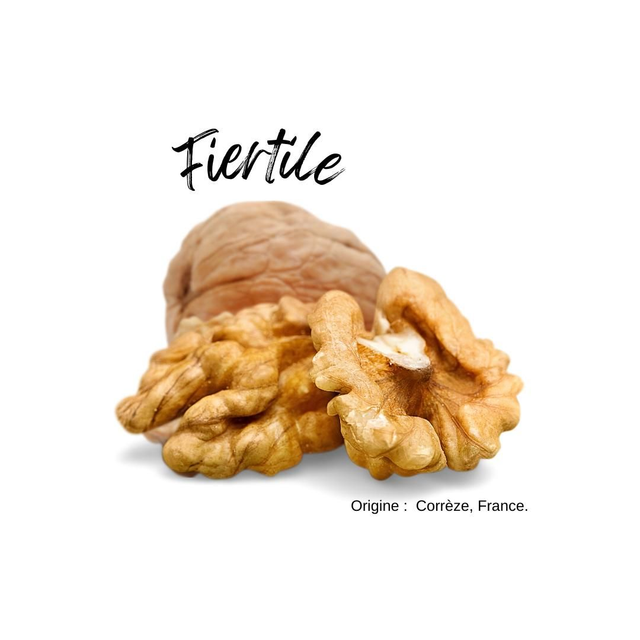 Noix France gros calibre