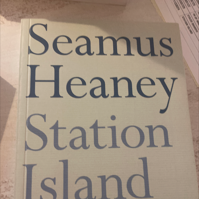 Station Island Seamus Heaney