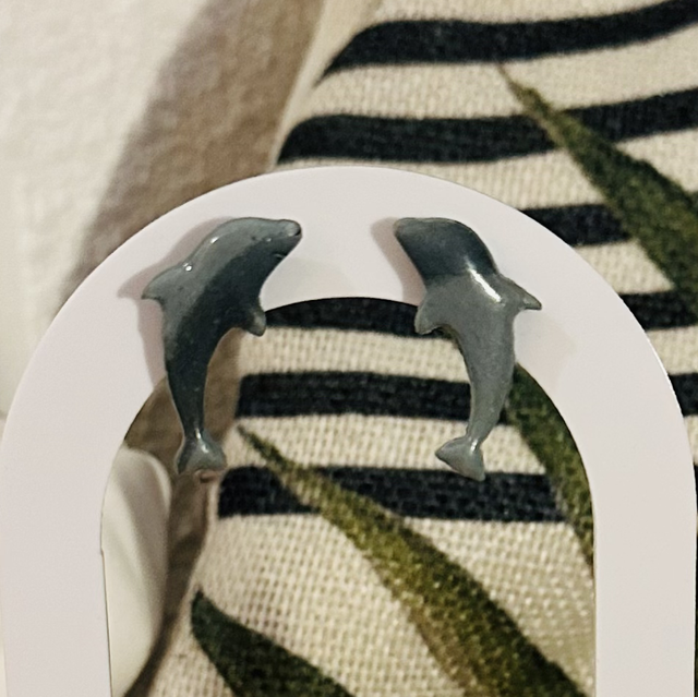 Puce d’oreilles dauphin gris